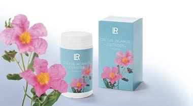 Cistus Kräutertee mit Pfefferminze Neu Kapseln