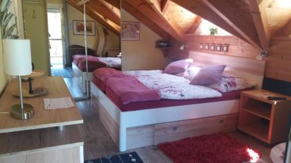 RuhigeTOP Komfort FW 4 Sterne eig. Eingang Salzkammergut Obertraun Oberösterreich Hallstätter See/