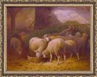 Charles Herve Schafe im Stall